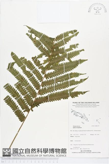 登錄號:BP01979藏品圖，第1張