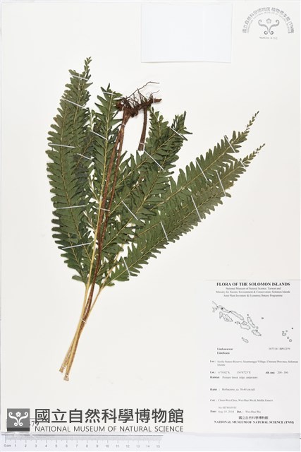 登錄號:BP02379藏品圖，第1張