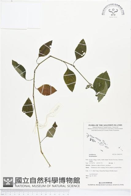 登錄號:BS02379藏品圖，第1張