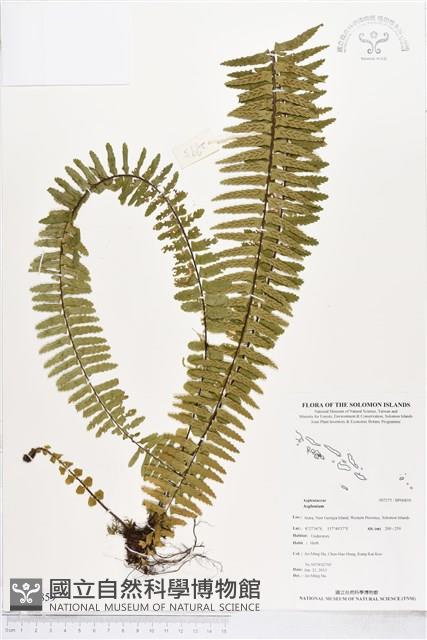 登錄號:BP00859藏品圖，第1張