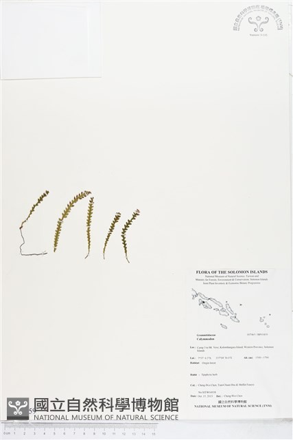 登錄號:BP01859藏品圖，第1張