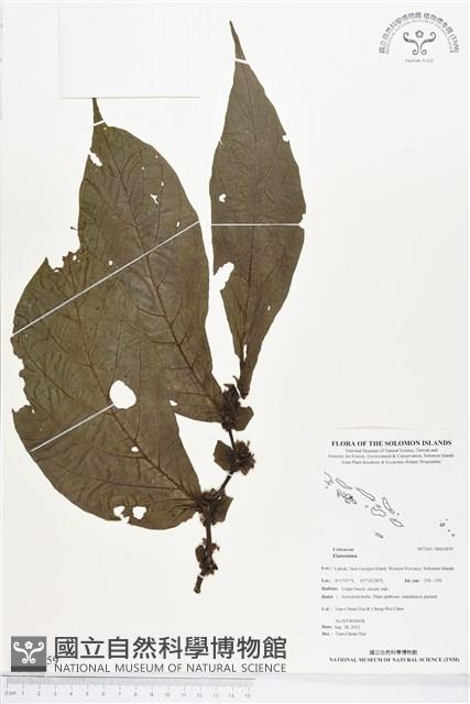 登錄號:BS01859藏品圖，第1張