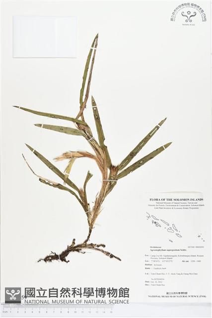 登錄號:BS02059藏品圖，第1張