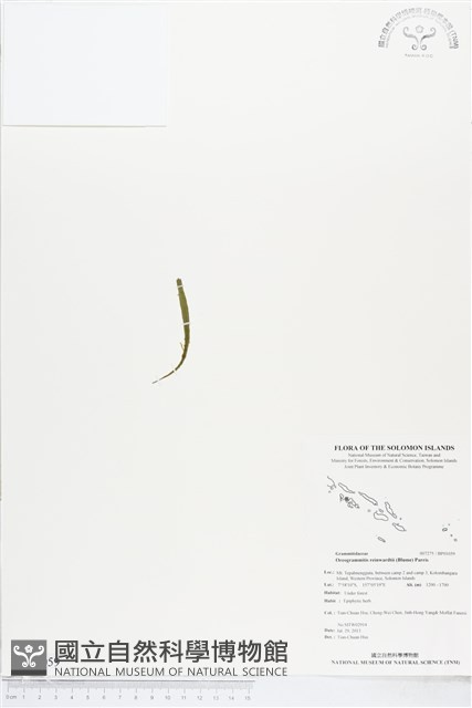 登錄號:BP01059藏品圖，第1張