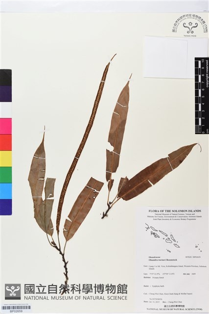 登錄號:BP02659藏品圖，第1張