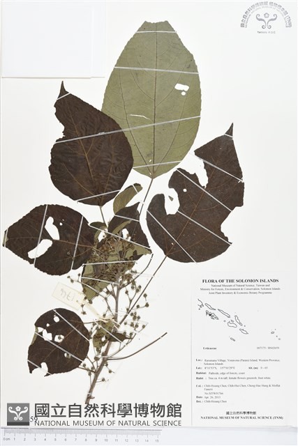 登錄號:BS02659藏品圖，第1張