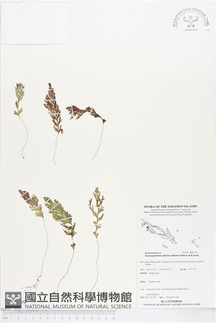 登錄號:BP01659藏品圖，第1張