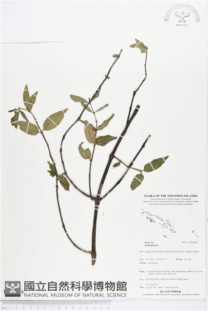 登錄號:BS03659藏品圖，第1張