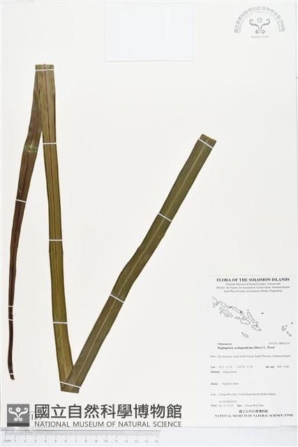 登錄號:BP02159藏品圖，第1張