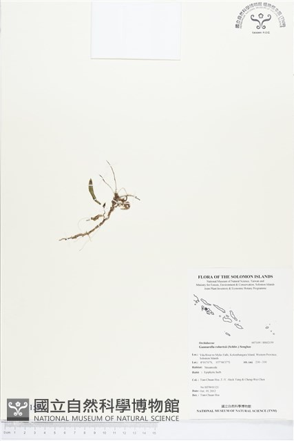 登錄號:BS02159藏品圖，第1張