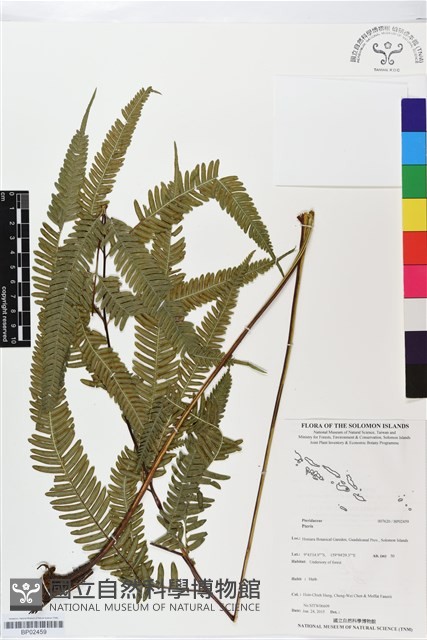 登錄號:BP02459藏品圖，第1張