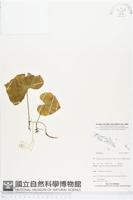 登錄號:BS04459藏品圖，第1張