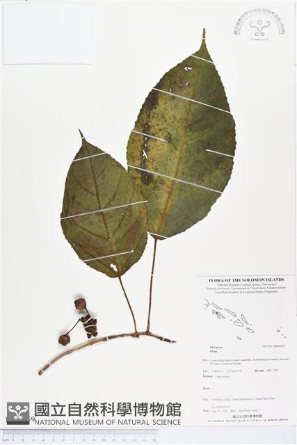 登錄號:BS03459藏品圖，第1張