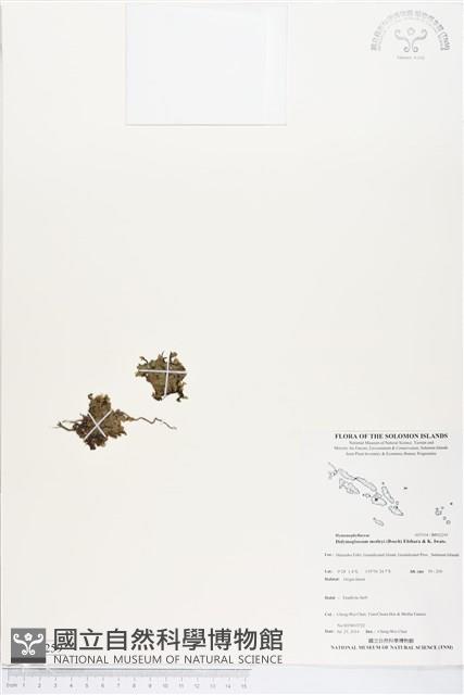 Accession Number:BP02259 Collection Image