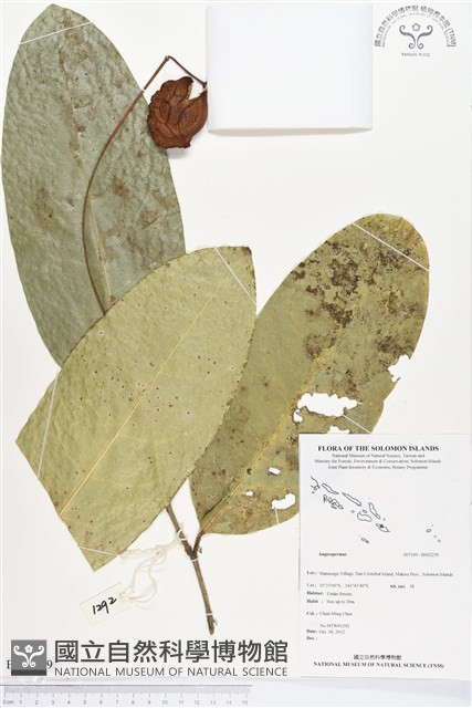 登錄號:BS02259藏品圖，第1張