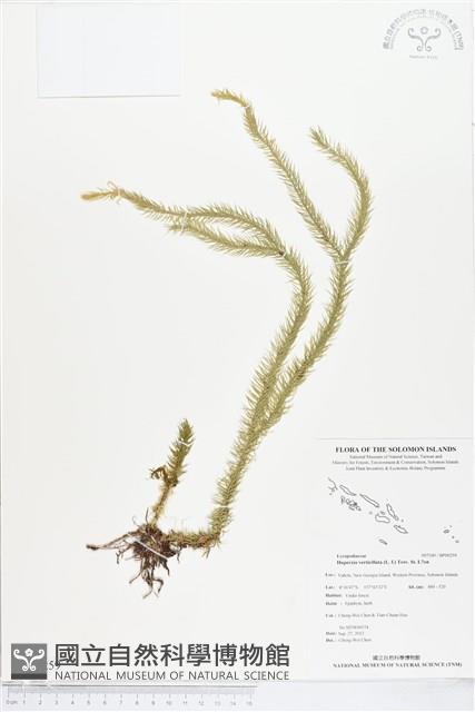 登錄號:BP00259藏品圖，第1張