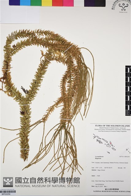 登錄號:BP03259藏品圖，第1張