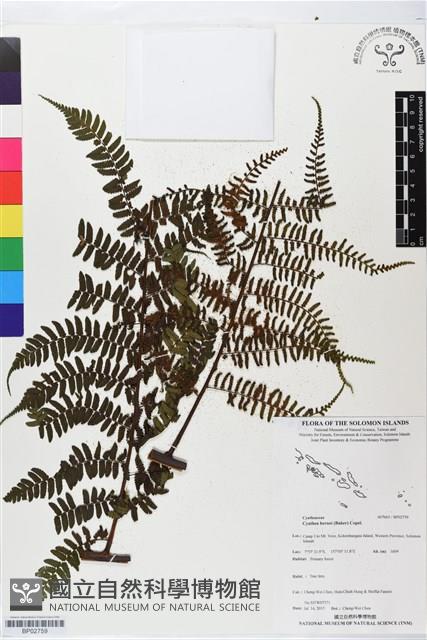 登錄號:BP02759藏品圖，第1張