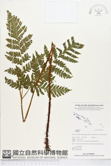 登錄號:BP00759藏品圖，第1張