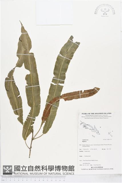 登錄號:BP01759藏品圖，第1張