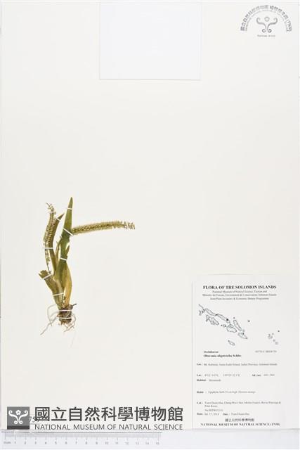 登錄號:BS04759藏品圖，第1張