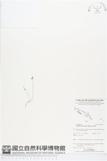 登錄號:BS03759藏品圖，第1張