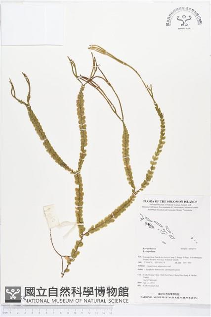 登錄號:BP00559藏品圖，第1張