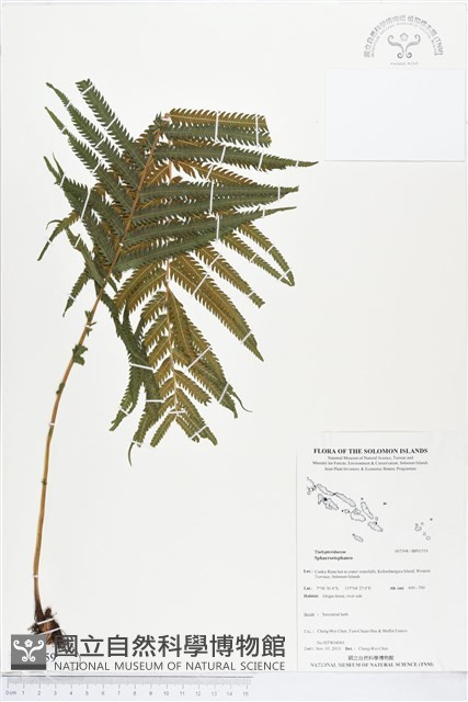 登錄號:BP01559藏品圖，第1張