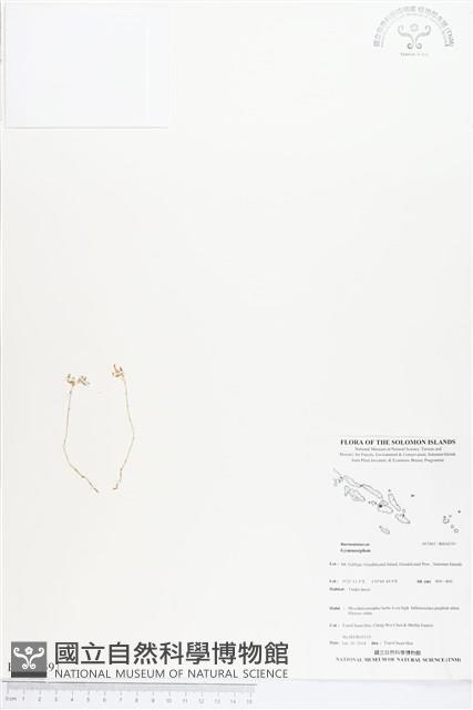 登錄號:BS04559藏品圖，第1張