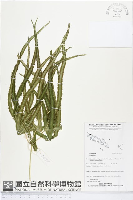 登錄號:BP01959藏品圖，第1張