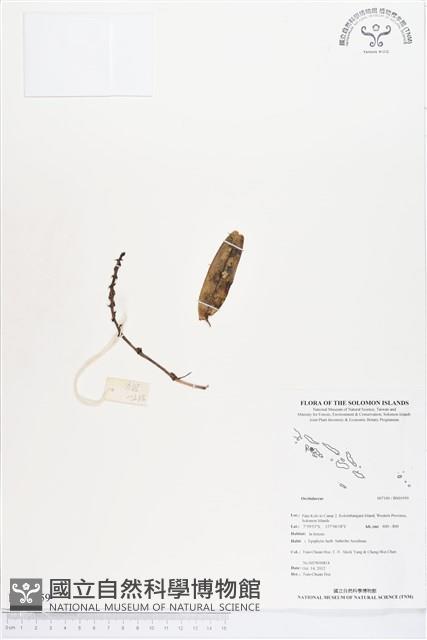 登錄號:BS01959藏品圖，第1張