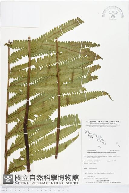 登錄號:BP01359藏品圖，第1張