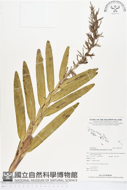 登錄號:BS01359藏品圖，第1張