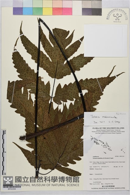 登錄號:BP03359藏品圖，第1張