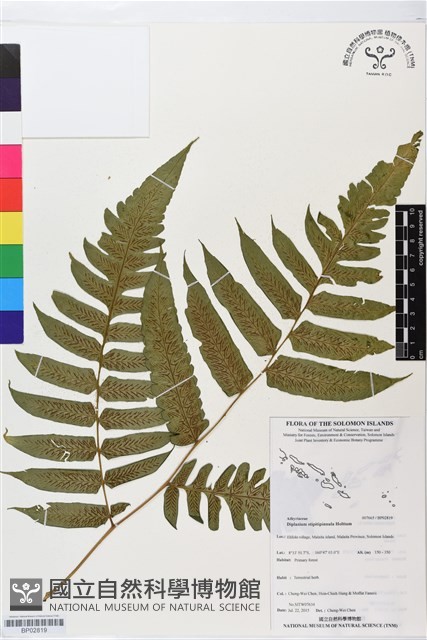 登錄號:BP02819藏品圖，第1張