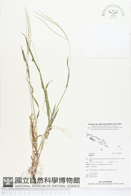 登錄號:BS02819藏品圖，第1張