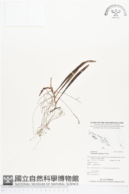 登錄號:BS02019藏品圖，第1張