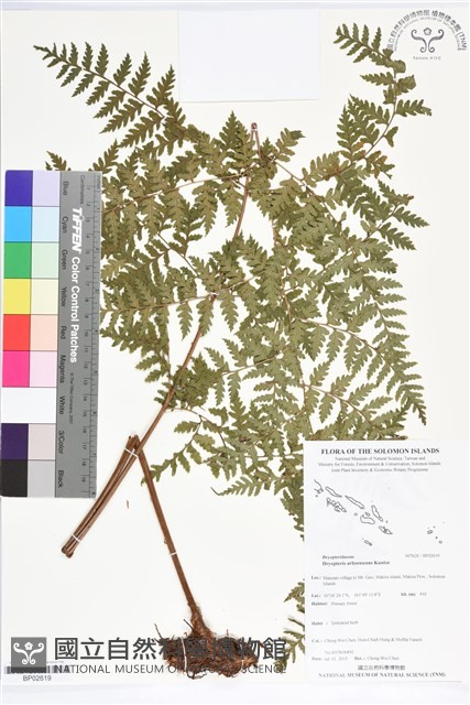 登錄號:BP02619藏品圖，第1張