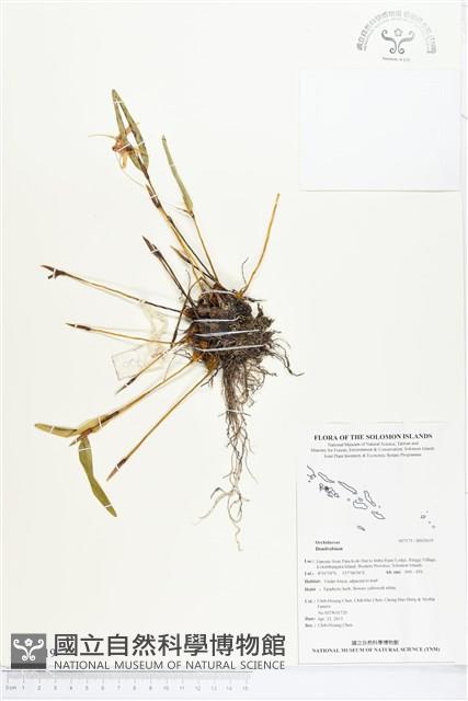 登錄號:BS02619藏品圖，第1張