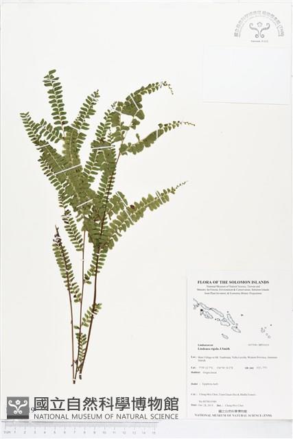 登錄號:BP01619藏品圖，第1張