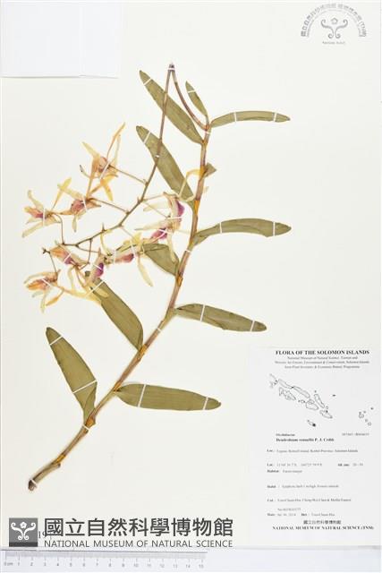 登錄號:BS04619藏品圖，第1張