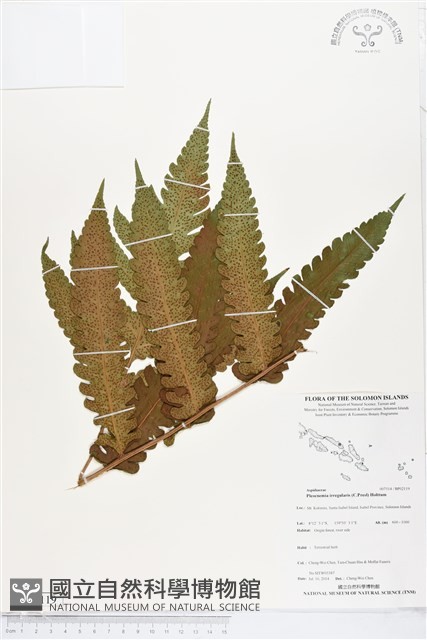 登錄號:BP02119藏品圖，第1張