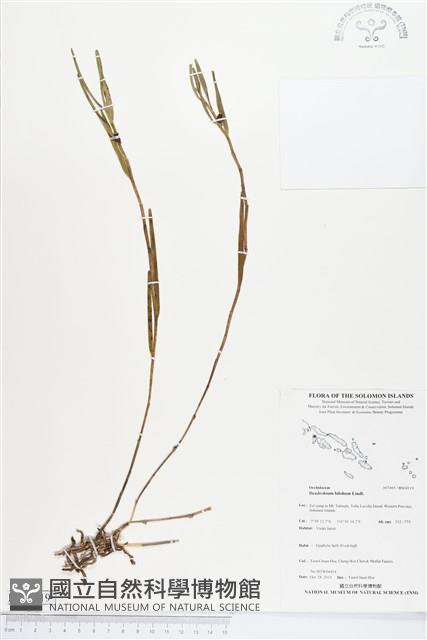 登錄號:BS04119藏品圖，第1張