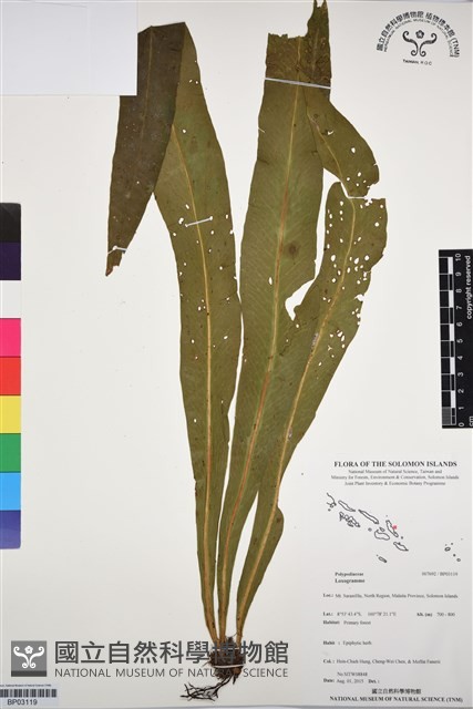 登錄號:BP03119藏品圖，第1張