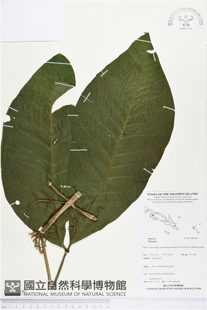 登錄號:BS04419藏品圖，第1張