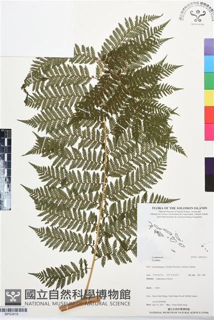 登錄號:BP03419藏品圖，第1張