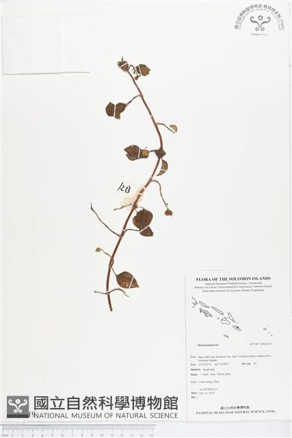 登錄號:BS02219藏品圖，第1張