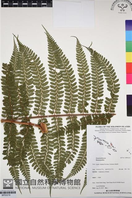 登錄號:BP03219藏品圖，第1張