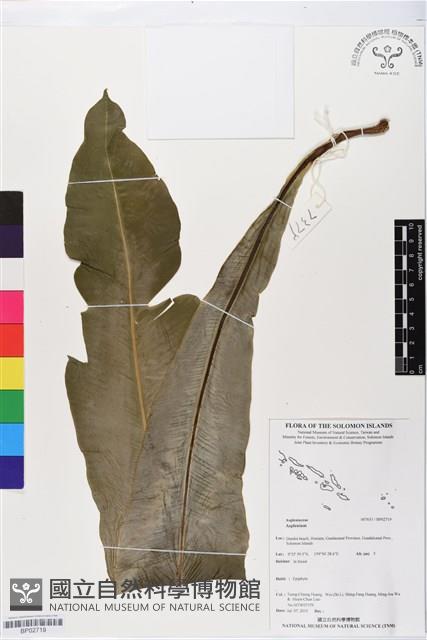 登錄號:BP02719藏品圖，第1張