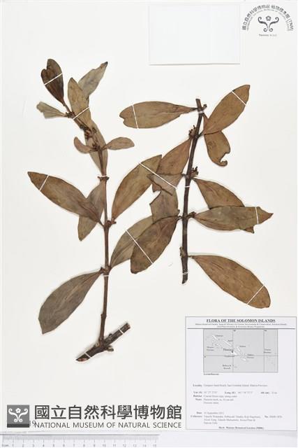 登錄號:BS01719藏品圖，第1張